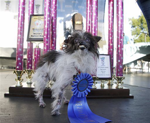 2014 winner: Peanut
